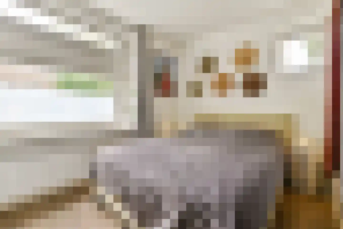 Schaepmanstraat 250 Amsterdam thumbnail 18