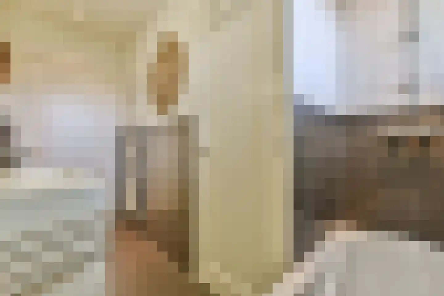 Schaepmanstraat 250 Amsterdam thumbnail 21