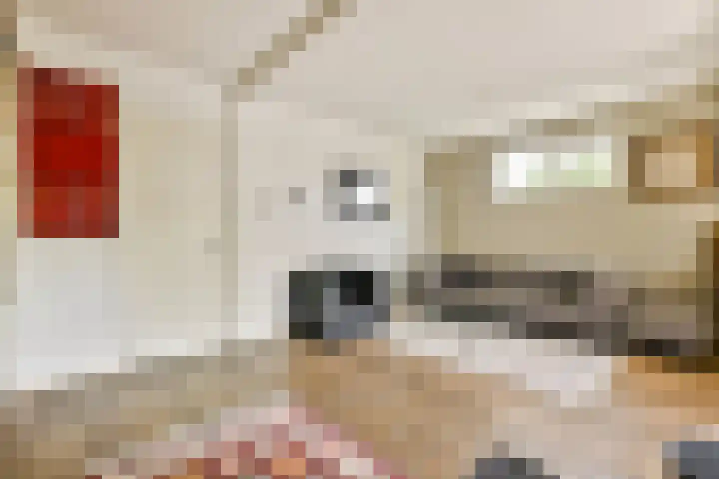 Schaepmanstraat 250 Amsterdam thumbnail 8