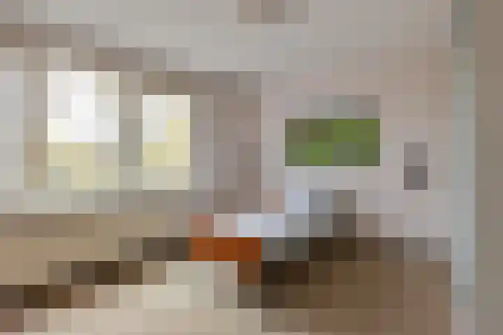Schaepmanstraat 26 Groenlo thumbnail 21