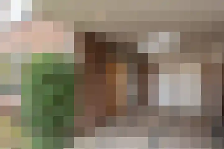 Schaepmanstraat 26 Groenlo thumbnail 6
