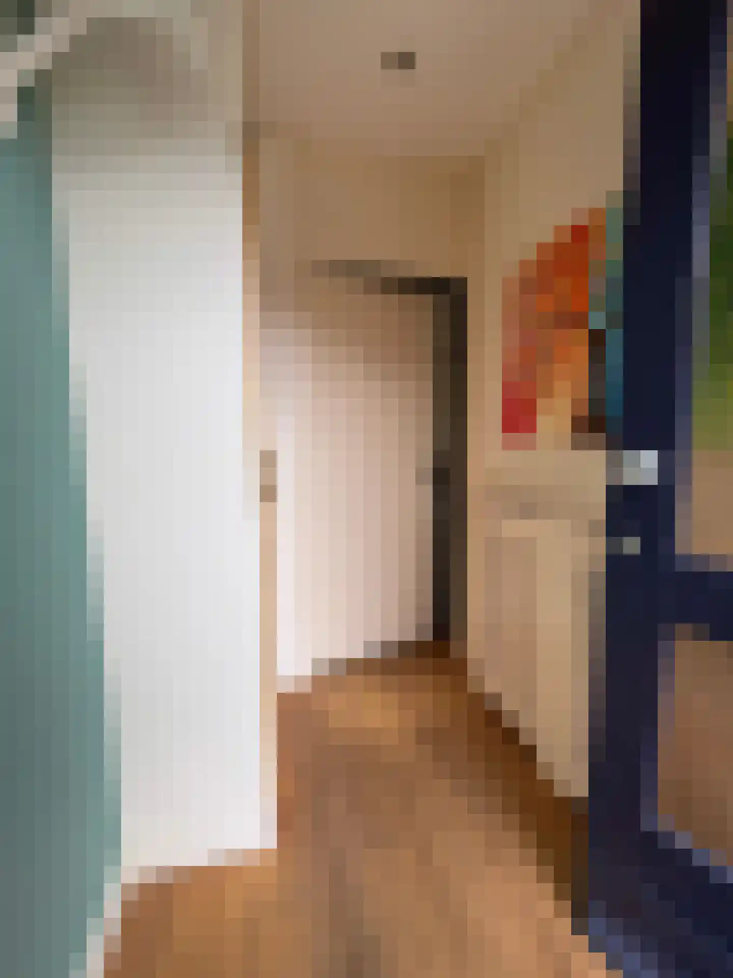 Schaepmanstraat 26 Winterswijk thumbnail 10