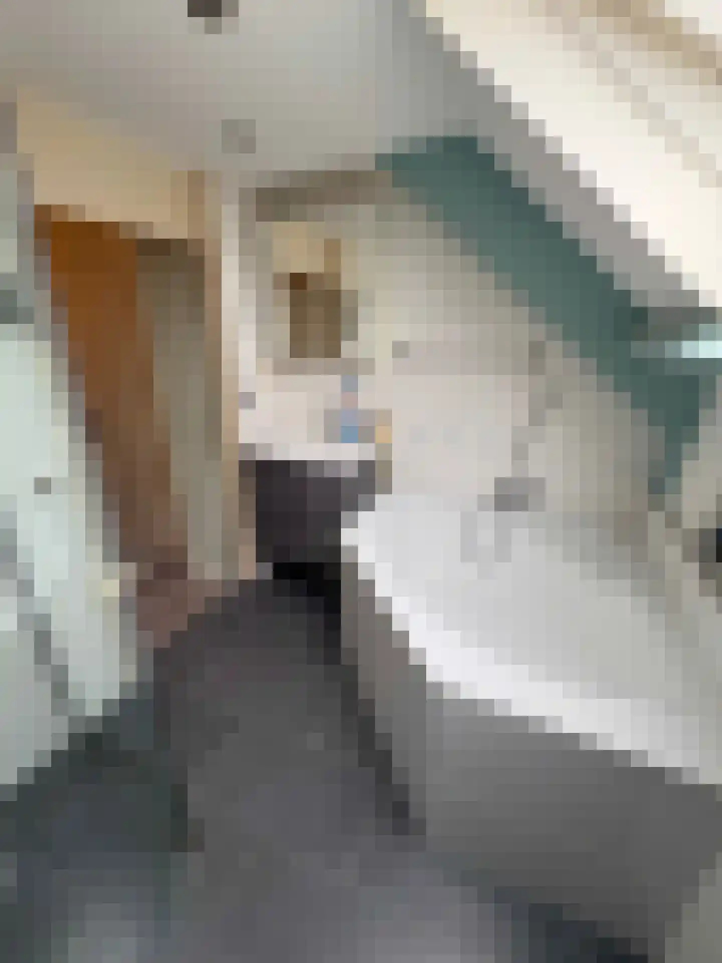 Schaepmanstraat 26 Winterswijk thumbnail 31