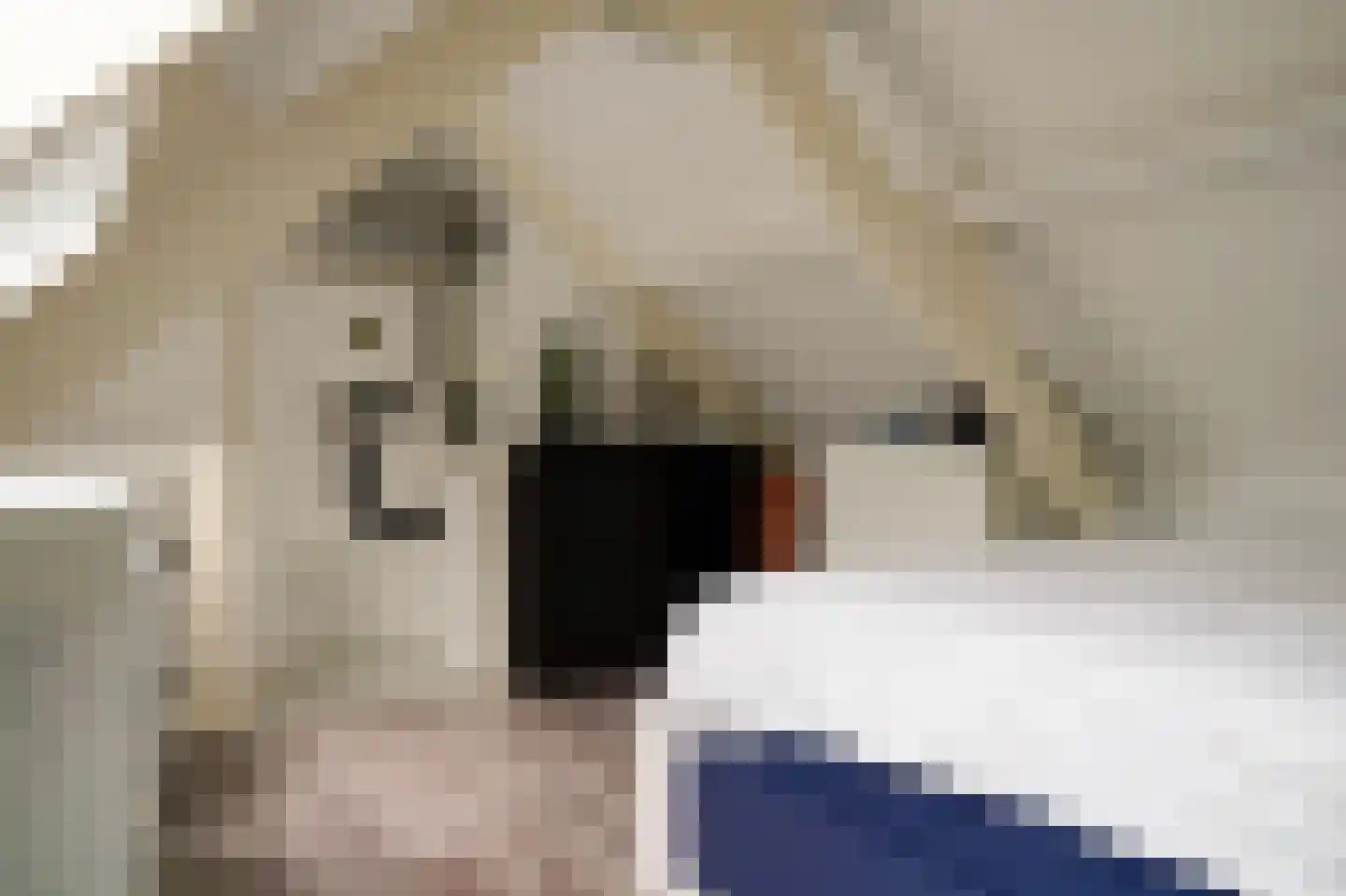 Schaepmanstraat 26 Winterswijk thumbnail 33