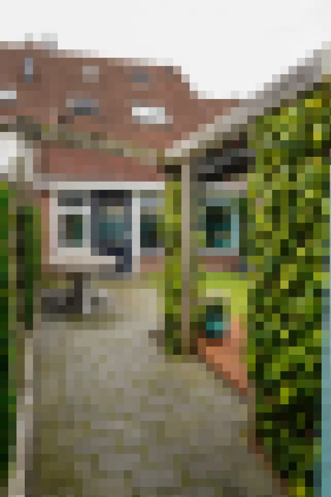 Schaepmanstraat 26 Winterswijk thumbnail 4
