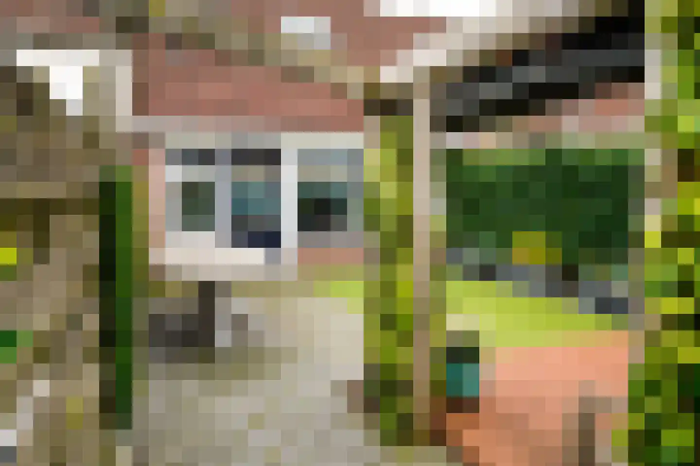 Schaepmanstraat 26 Winterswijk thumbnail 5