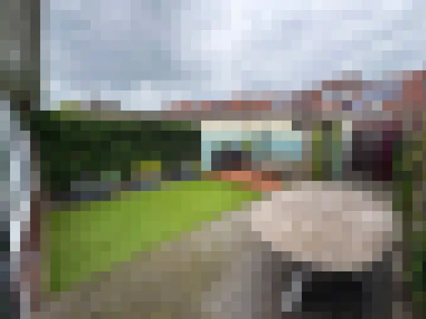 Schaepmanstraat 26 Winterswijk thumbnail 8
