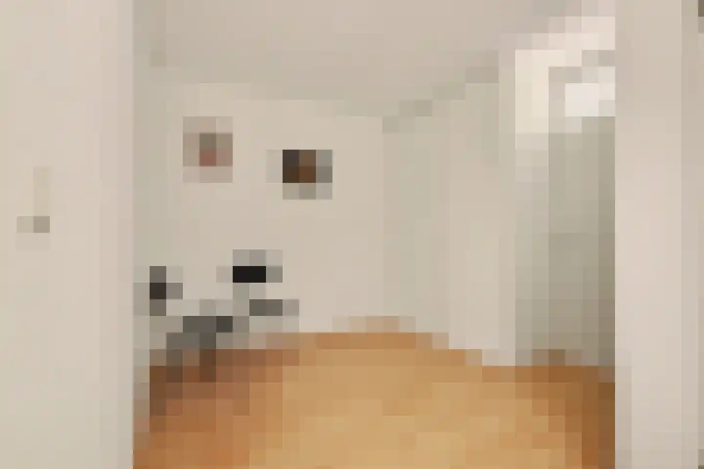 Schaepmanstraat 27 Goes thumbnail 12