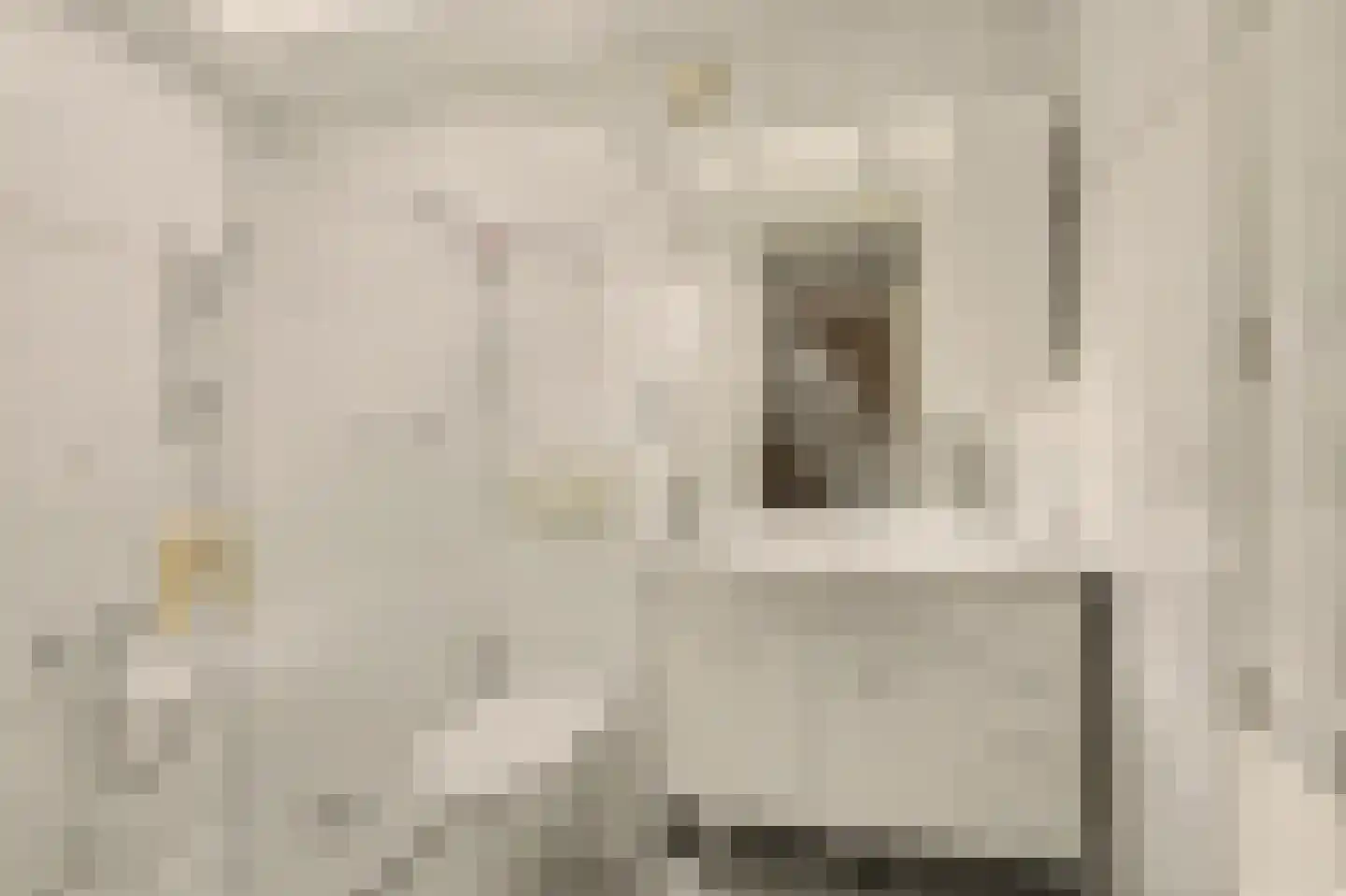 Schaepmanstraat 27 Goes thumbnail 14
