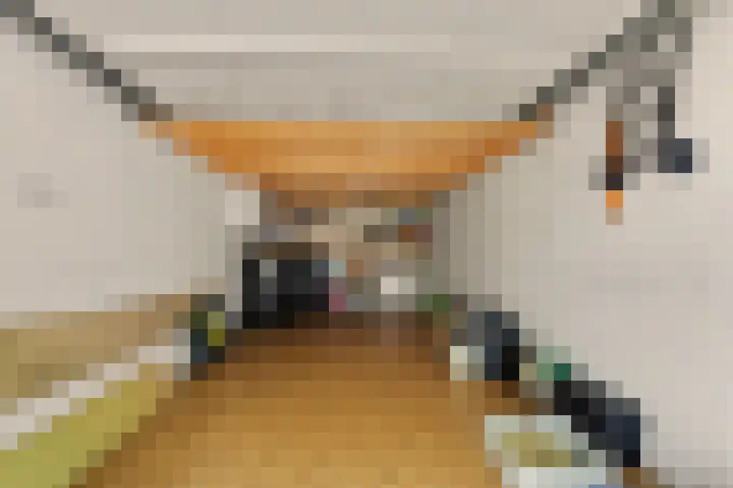 Schaepmanstraat 27 Goes thumbnail 23