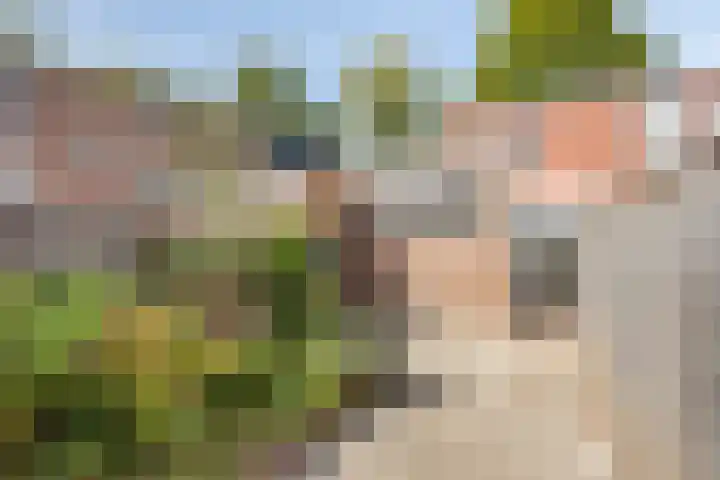 Schaepmanstraat 28 Tilburg thumbnail 42