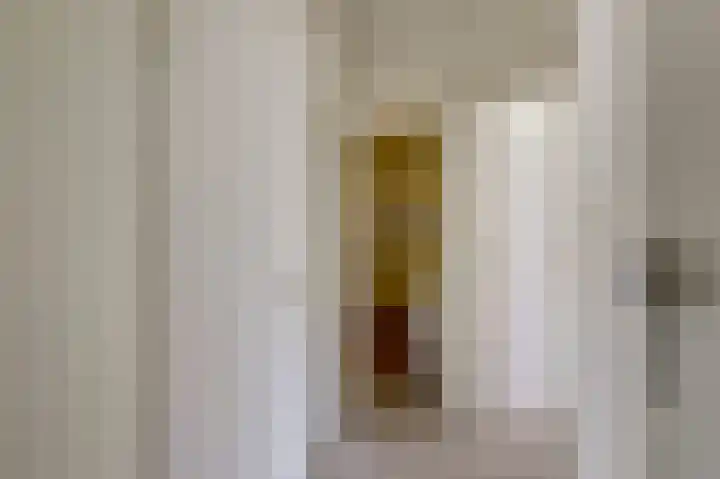 Schaepmanstraat 3 B 01 Rotterdam thumbnail 6