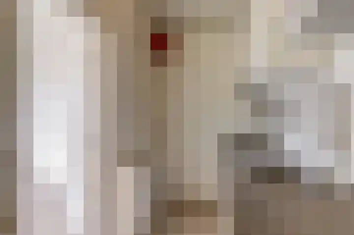 Schaepmanstraat 3 B 01 Rotterdam thumbnail 7