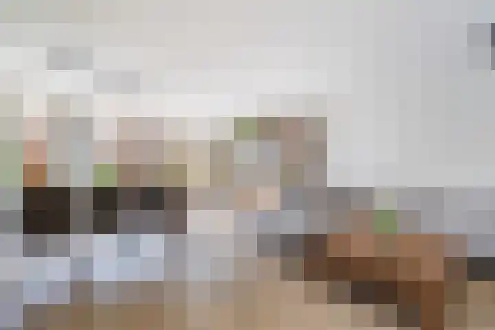 Schaepmanstraat 3 Naaldwijk thumbnail 11