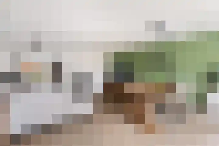 Schaepmanstraat 3 Naaldwijk thumbnail 12