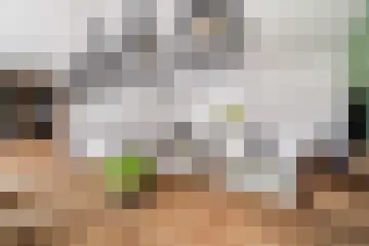 Schaepmanstraat 3 Naaldwijk thumbnail 14