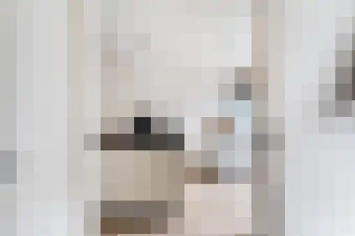 Schaepmanstraat 3 Naaldwijk thumbnail 15