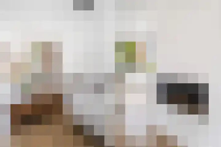 Schaepmanstraat 3 Naaldwijk thumbnail 16