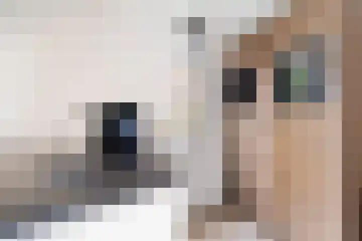 Schaepmanstraat 3 Naaldwijk thumbnail 17