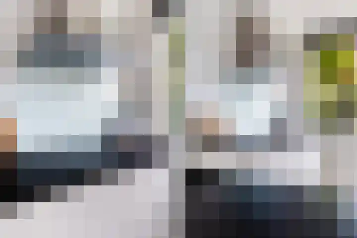 Schaepmanstraat 3 Naaldwijk thumbnail 18