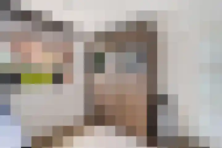 Schaepmanstraat 3 Naaldwijk thumbnail 19