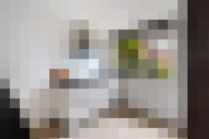 Schaepmanstraat 3 Naaldwijk thumbnail 22