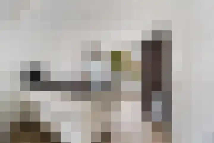 Schaepmanstraat 3 Naaldwijk thumbnail 23