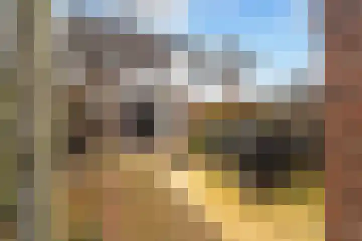 Schaepmanstraat 3 Naaldwijk thumbnail 27
