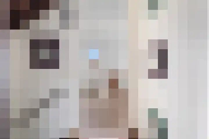 Schaepmanstraat 3 Naaldwijk thumbnail 31