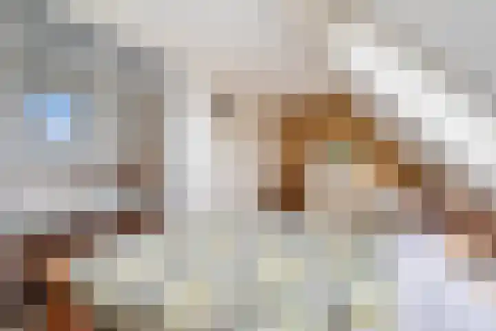 Schaepmanstraat 3 Naaldwijk thumbnail 34