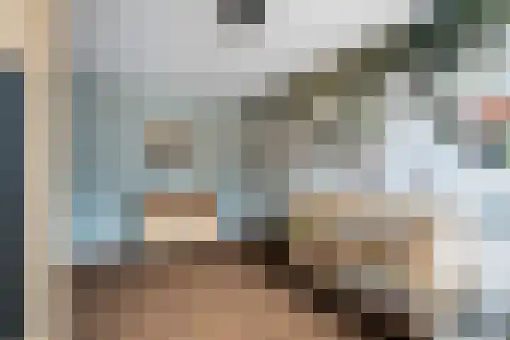 Schaepmanstraat 3 Naaldwijk thumbnail 39