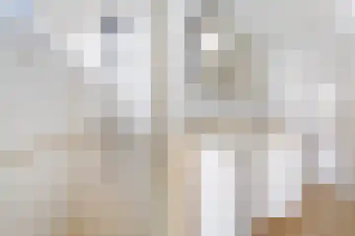 Schaepmanstraat 3 Naaldwijk thumbnail 42