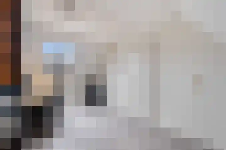 Schaepmanstraat 3 Naaldwijk thumbnail 47