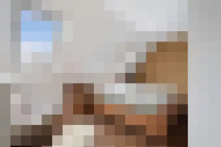Schaepmanstraat 3 Naaldwijk thumbnail 5