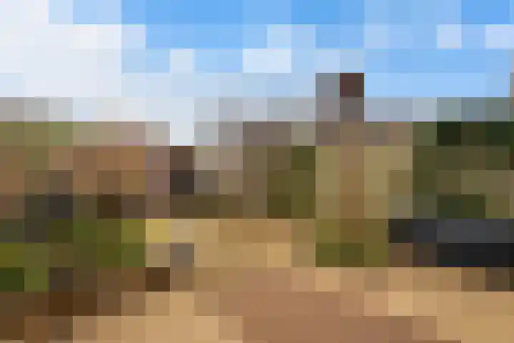 Schaepmanstraat 3 Naaldwijk thumbnail 6