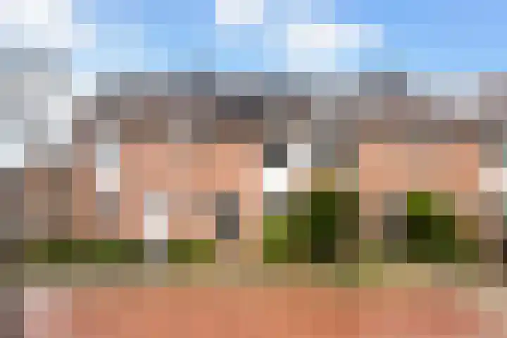 Schaepmanstraat 3 Naaldwijk thumbnail 9