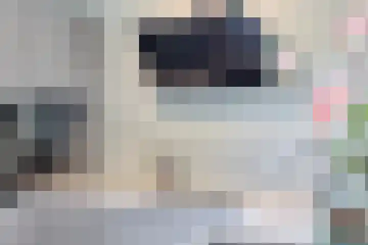 Schaepmanstraat 32 Epe thumbnail 12