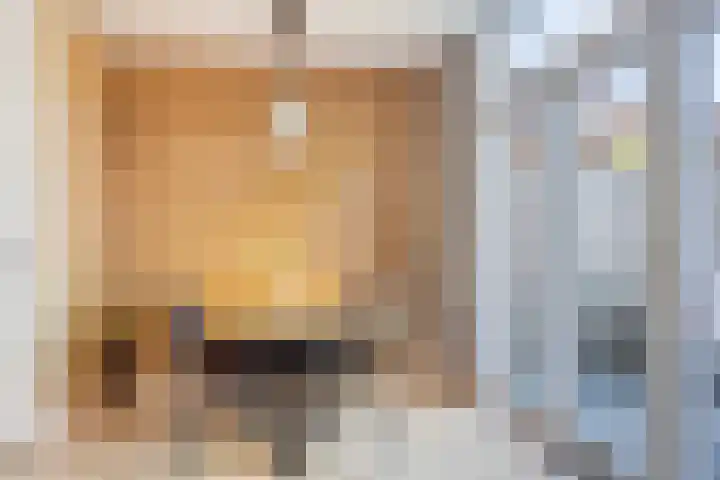 Schaepmanstraat 32 Epe thumbnail 14