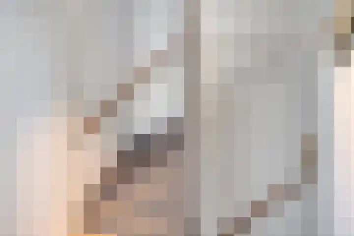 Schaepmanstraat 32 Epe thumbnail 25