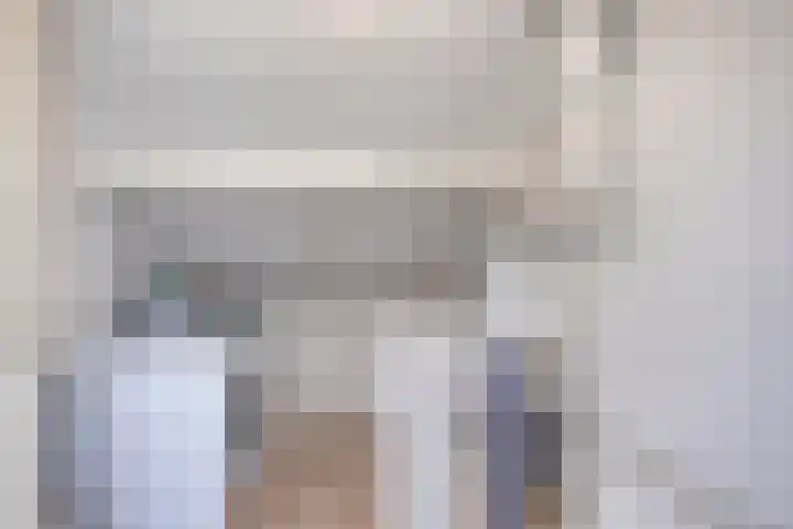 Schaepmanstraat 32 Epe thumbnail 27