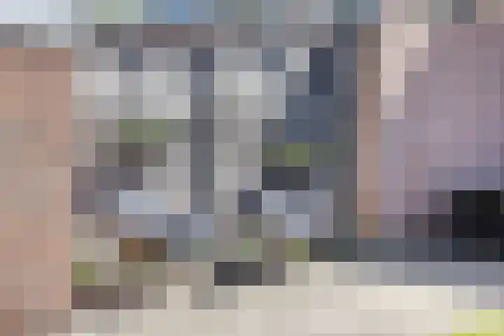 Schaepmanstraat 32 Epe thumbnail 33