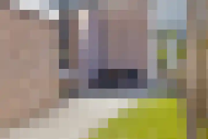 Schaepmanstraat 32 Epe thumbnail 36