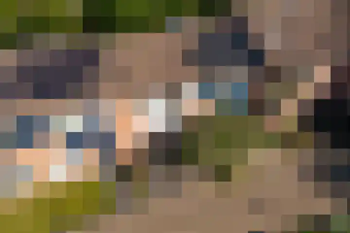 Schaepmanstraat 32 Epe thumbnail 42