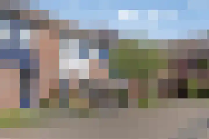 Schaepmanstraat 32 Epe thumbnail 43