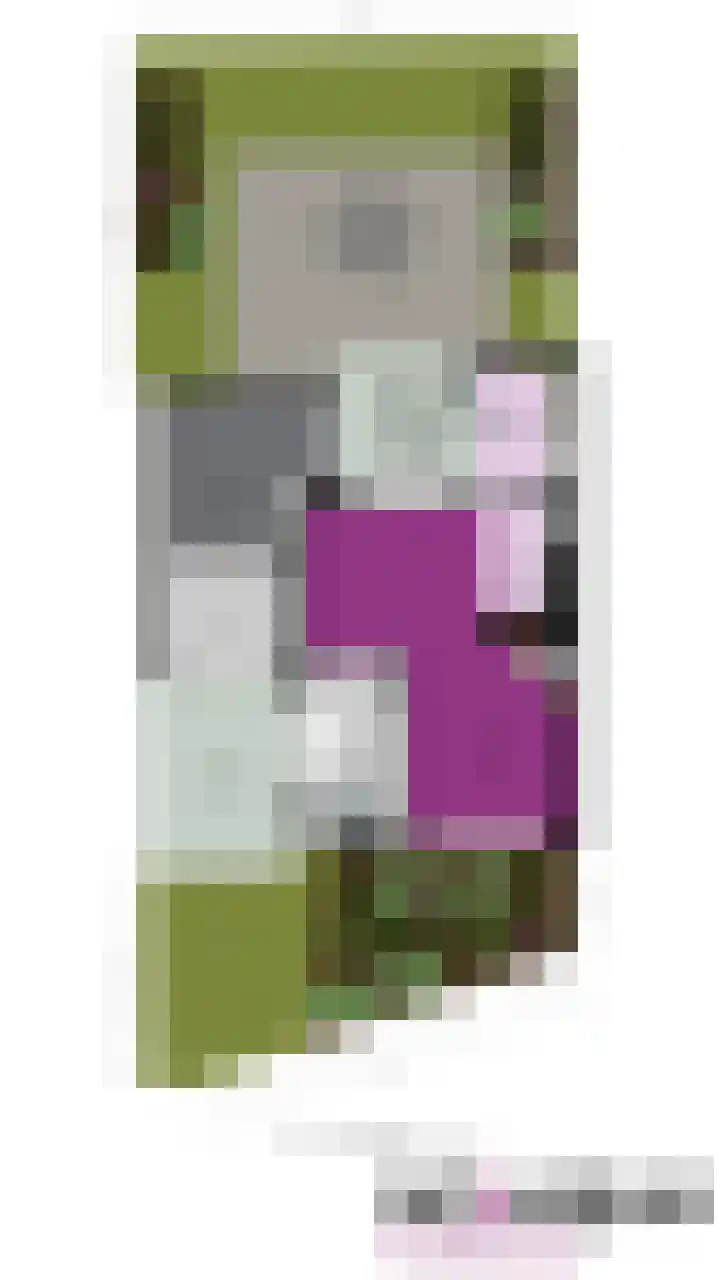 Schaepmanstraat 32 Groenlo thumbnail 34