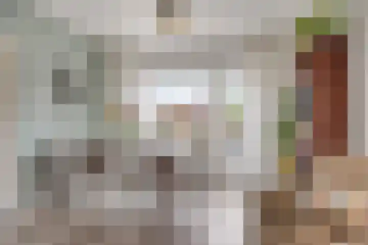 Schaepmanstraat 38 Lunteren thumbnail 10