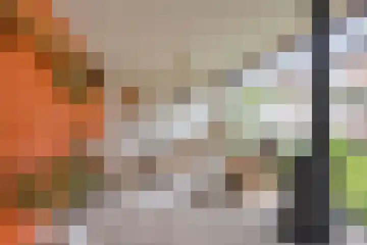 Schaepmanstraat 38 Lunteren thumbnail 4