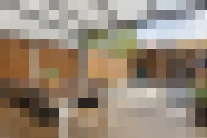 Schaepmanstraat 4 Venlo thumbnail 27