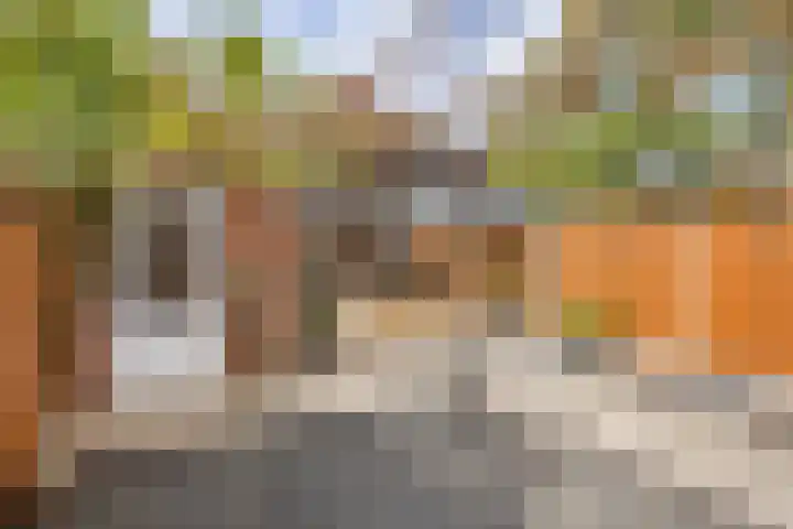 Schaepmanstraat 4 Venlo thumbnail 30