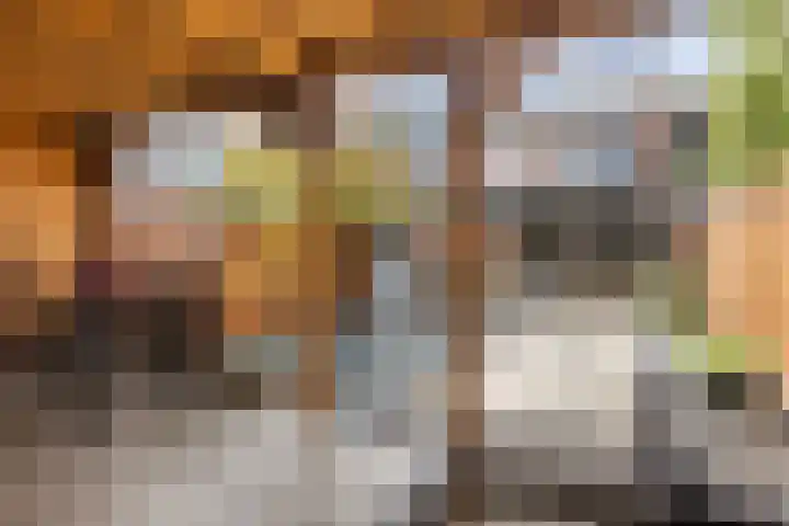Schaepmanstraat 4 Venlo thumbnail 31